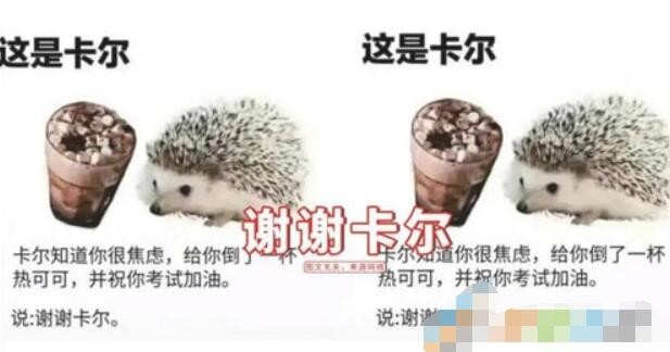 光遇谢谢卡尔是什么梗