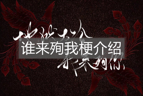 谁来殉我梗介绍