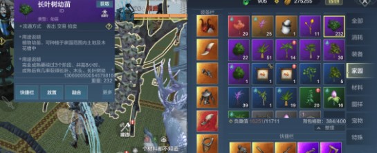 《妄想山海》越级树苗位置介绍