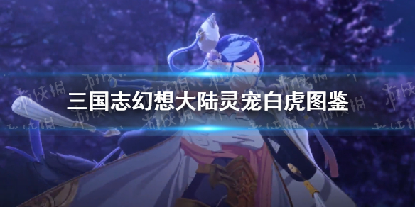《三国志幻想大陆》白虎怎么样 灵宠白虎图鉴