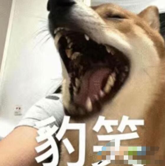 泰好笑了是什么梗