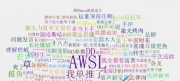 SC是什么梗