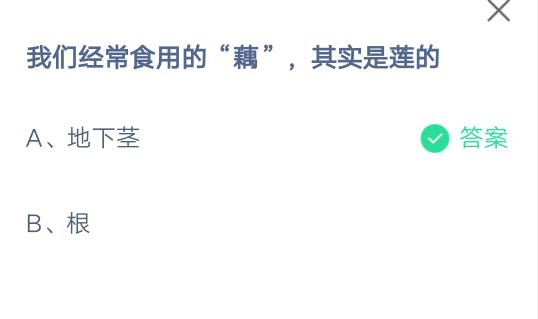 我们经常食用的藕其实是莲的