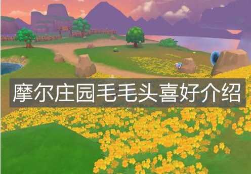 《摩尔庄园手游》毛毛头喜好介绍