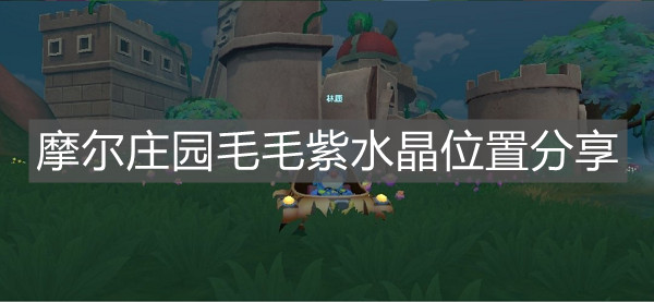 《摩尔庄园手游》毛毛紫水晶位置分享