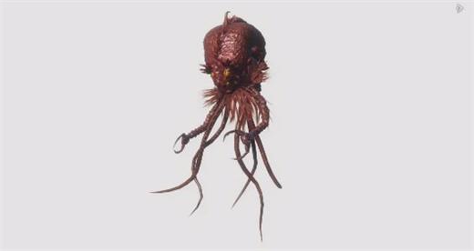 《妄想山海》深海智者驮蜛技能介绍