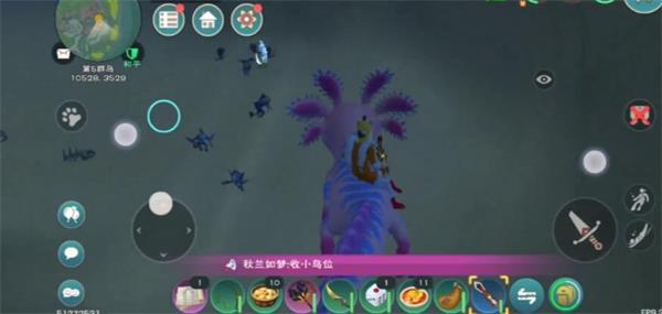 创造与魔法鳞甲海龟饲料配方是什么