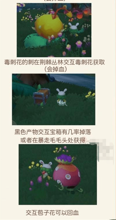 《摩尔庄园手游》黑森林资源获取攻略