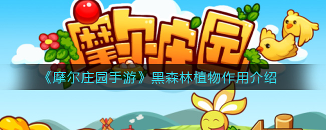 《摩尔庄园手游》黑森林植物作用介绍