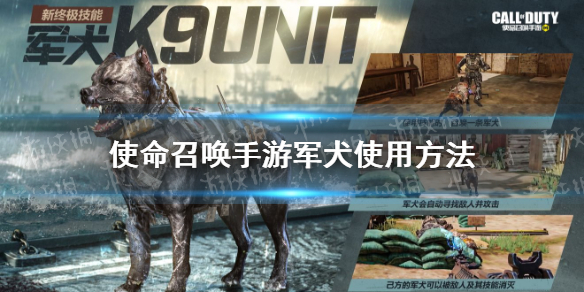 使命召唤手游军犬怎么用 使命召唤手游终极技能军犬使用方法