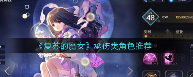《复苏的魔女》承伤类角色推荐