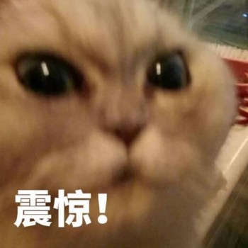 瞳孔地震梗介绍