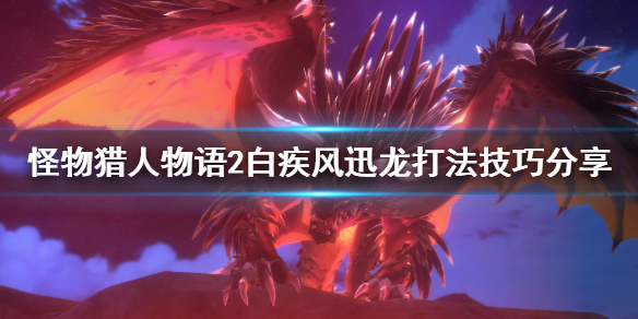 《怪物猎人物语2》白疾风迅龙怎么打？白疾风迅龙打法技巧分享
