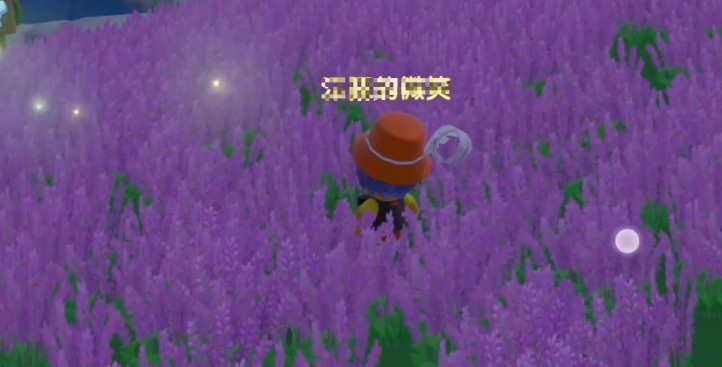 《摩尔庄园手游》薰衣草花梗获取攻略