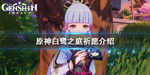 《原神》神里绫华祈愿什么时候开？白鹭之庭祈愿介绍