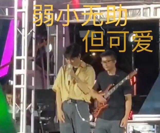 寻宝达人汪苏泷是什么梗