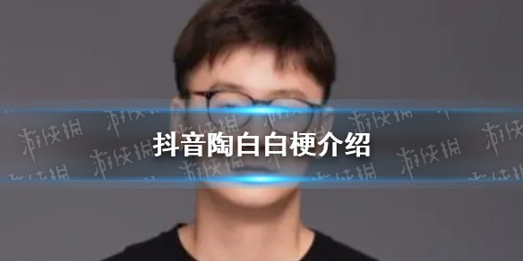 抖音陶白白是什么梗