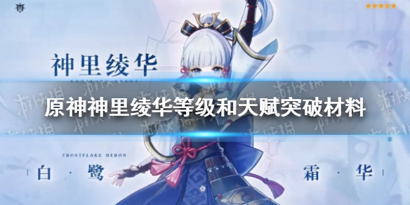游戏资讯网1