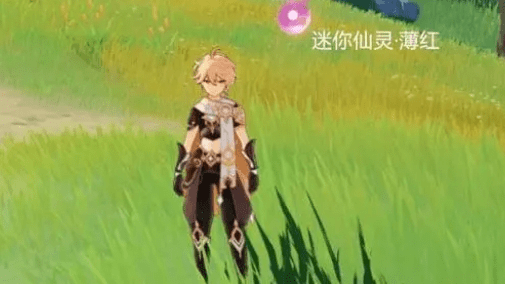《原神》迷你仙灵紫苑如何获得