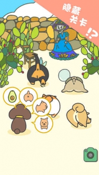 狗狗的屁股