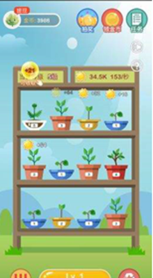 阳光养金屋