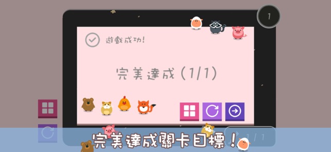 所谓双胞胎