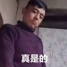 铁山靠吃猫是什么梗