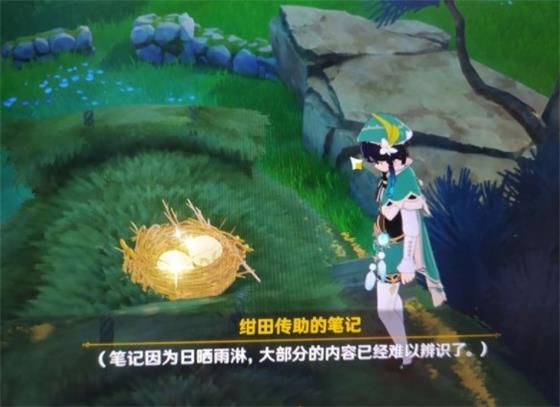 《原神》绀田事话任务图文攻略分享