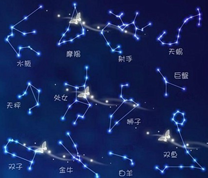 抖音陶白白梗介绍