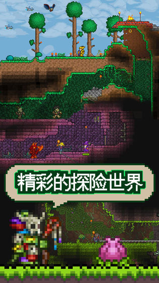 泰拉瑞亚rpg版