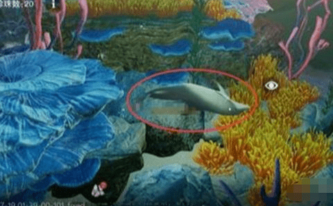 《一梦江湖》伏月节找鱼成就完成攻略