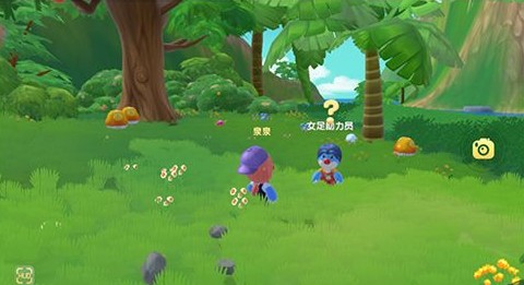 摩尔庄园手游中国女足活动怎么玩