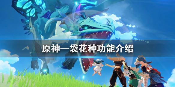 《原神》一袋花种子有什么用？一袋花种功能介绍