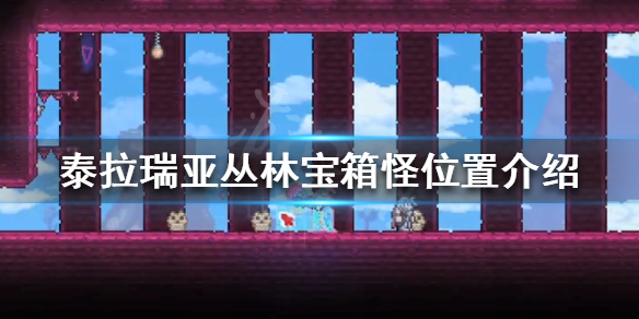 《泰拉瑞亚》丛林宝箱怪在哪 丛林宝箱怪位置介绍