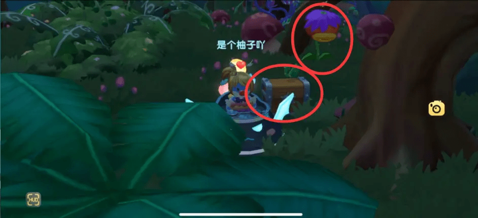 《摩尔庄园手游》7月29日黑森林宝箱在哪
