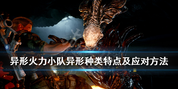 《异形火力小队》异形种类有哪些？异形种类特点及应对方法