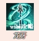 《烟雨江湖》云龙枪法技能介绍