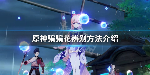 《原神》骗骗花怎么辨别？骗骗花辨别方法介绍