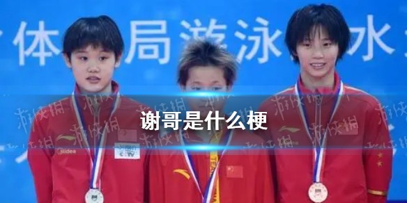谢哥是什么梗