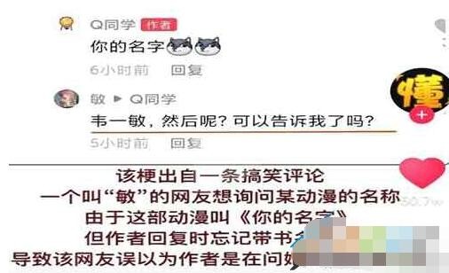 韦一敏效应是什么梗