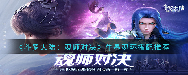 《斗罗大陆：魂师对决》牛皋魂环搭配推荐