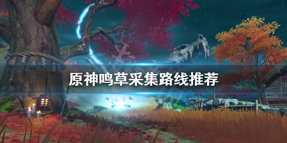 《原神》鸣草在哪采集？鸣草采集路线推荐