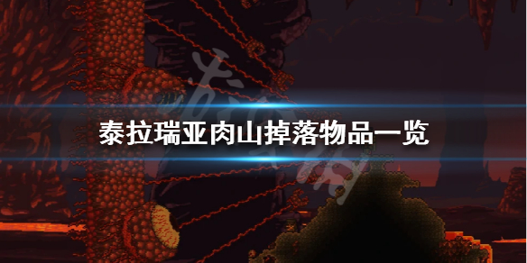 《泰拉瑞亚》肉山会掉什么 肉山掉落物品一览