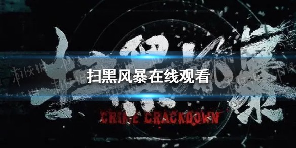 扫黑风暴电视剧在线观看完整版
