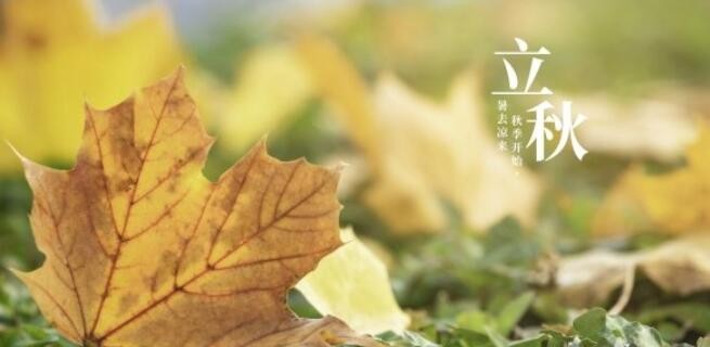 立秋文案大全 2021立秋朋友圈文案分享