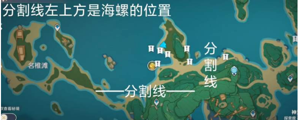 《原神》奇异海螺刷新时间具体介绍