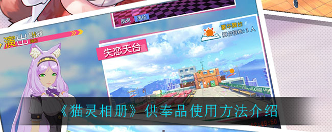 《猫灵相册》供奉品使用方法介绍