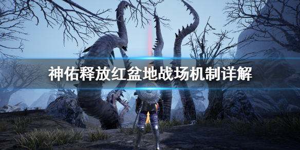 《神佑释放》战场怎么进入？红盆地战场机制详解