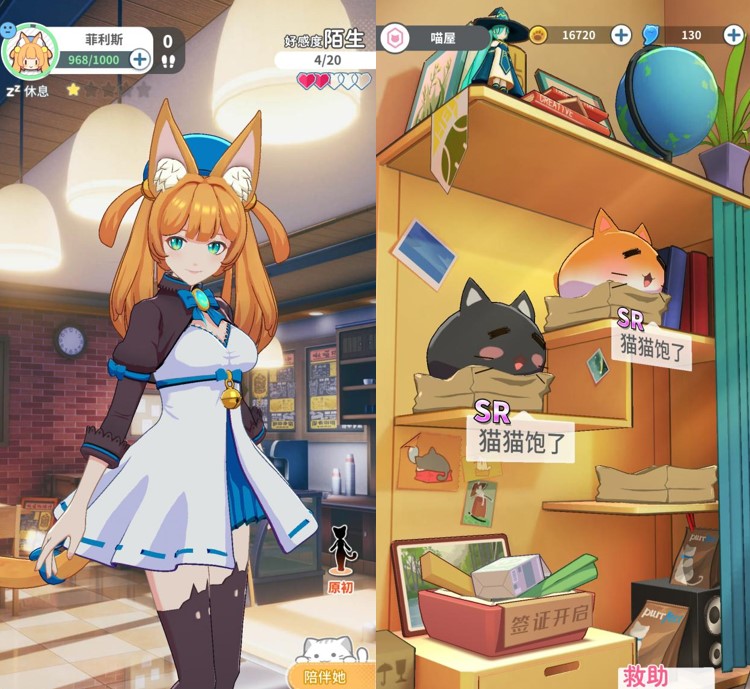 《猫灵相册》衣服星级升星攻略
