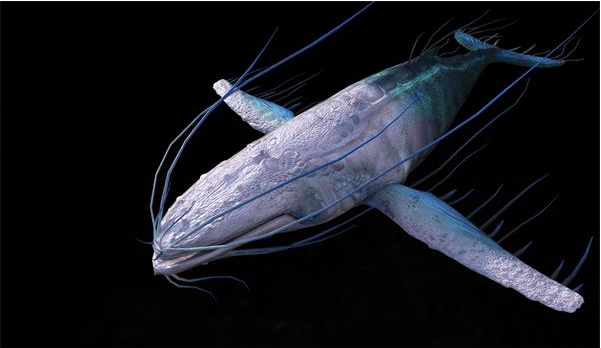 《妄想山海》万年鲲进化丹如何获得